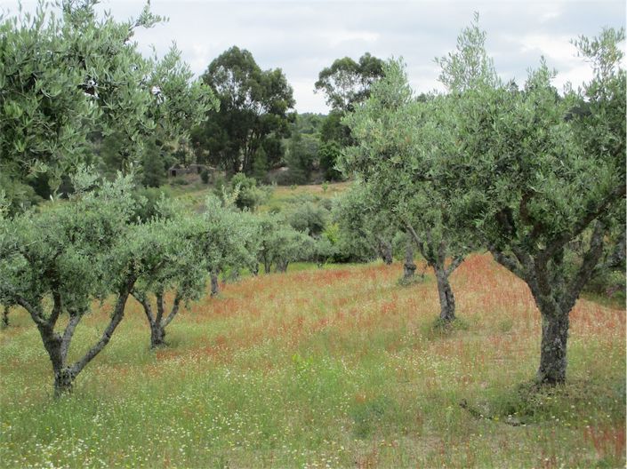 Image No.12-Property for sale