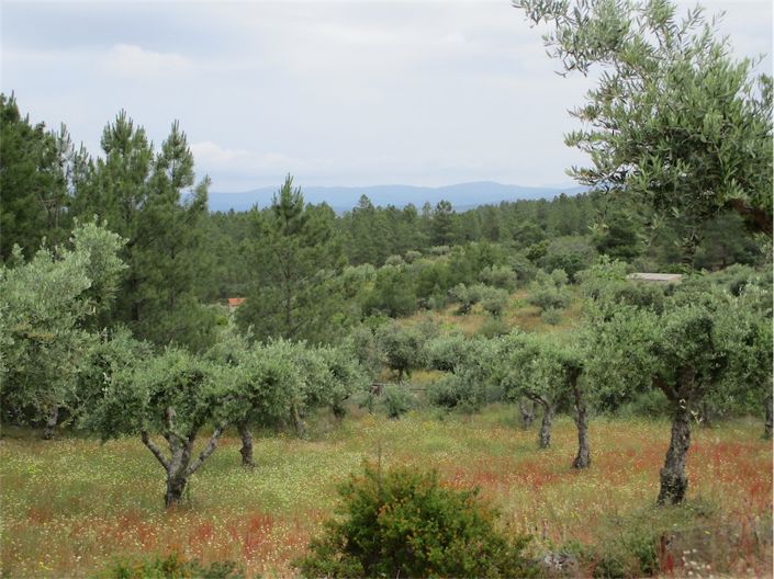 Image No.13-Property for sale