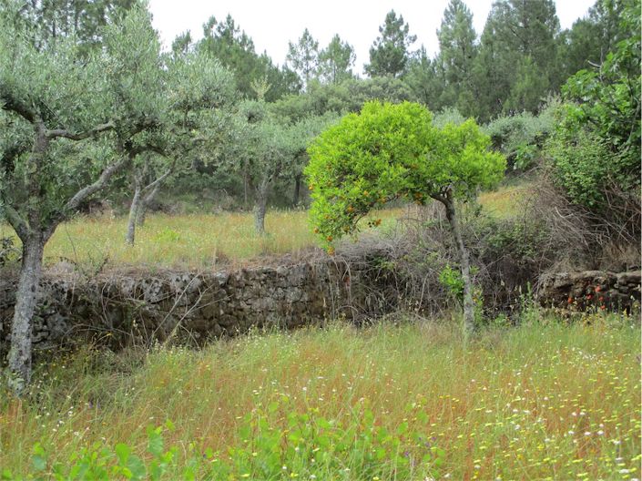 Image No.14-Property for sale