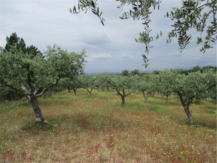 Image No.15-Property for sale