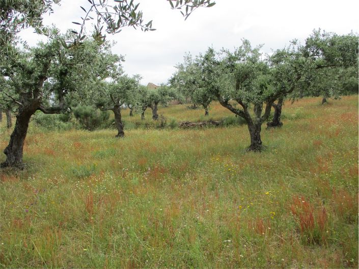 Image No.18-Property for sale