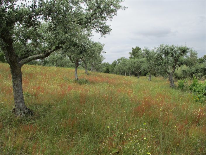 Image No.20-Property for sale