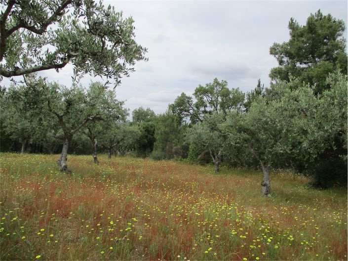 Image No.21-Property for sale