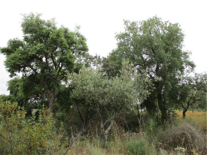 Image No.25-Property for sale