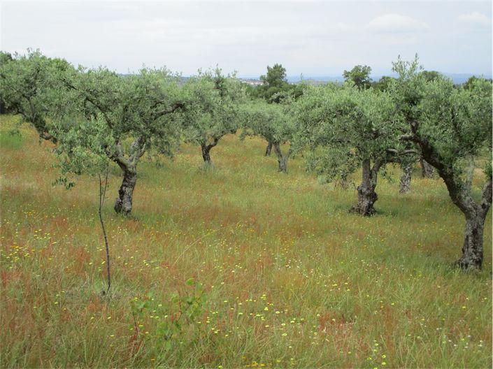 Image No.26-Property for sale