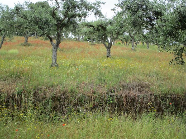 Image No.27-Property for sale