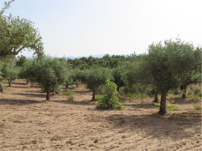 Image No.42-Property for sale