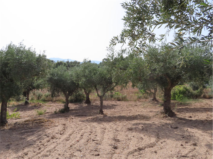 Image No.43-Property for sale