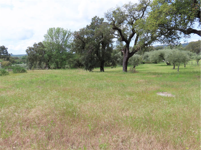 Image No.11-Property for sale