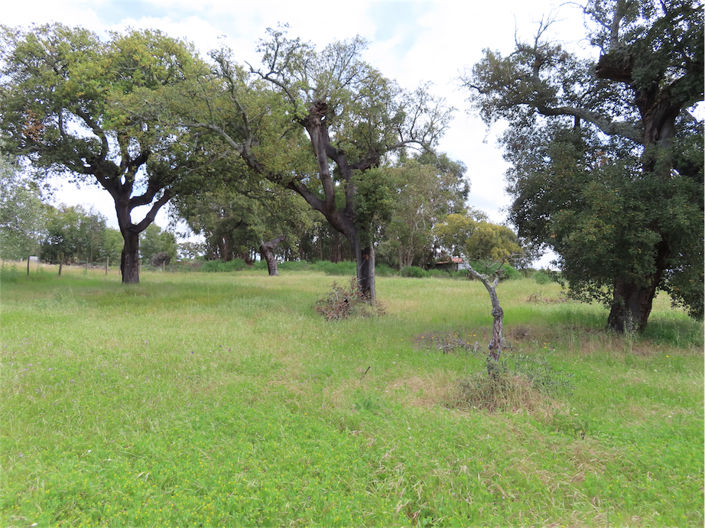 Image No.12-Property for sale