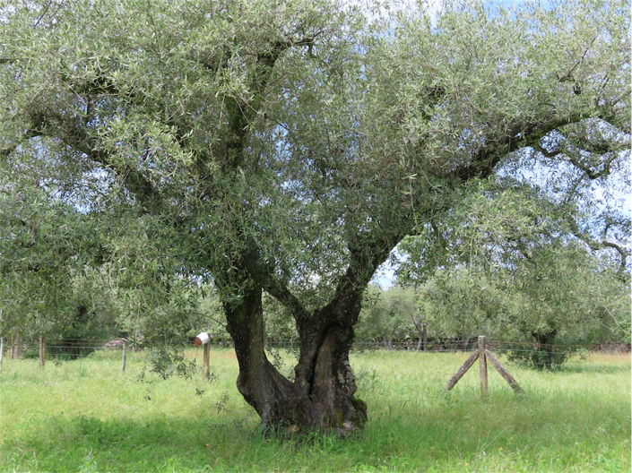 Image No.14-Property for sale