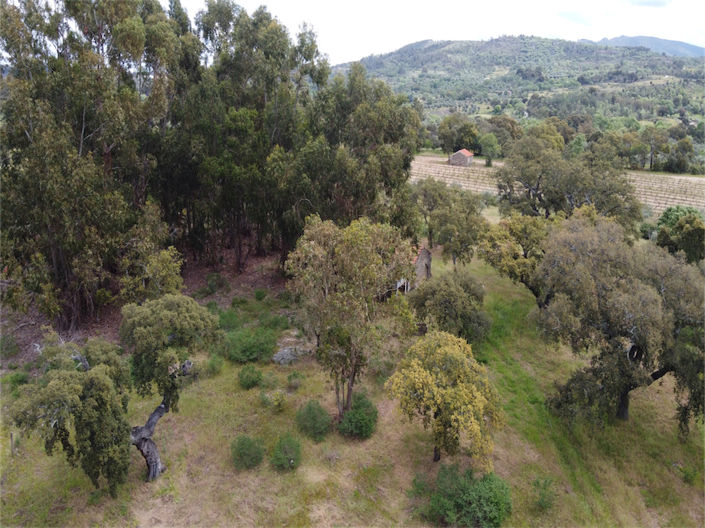 Image No.17-Property for sale