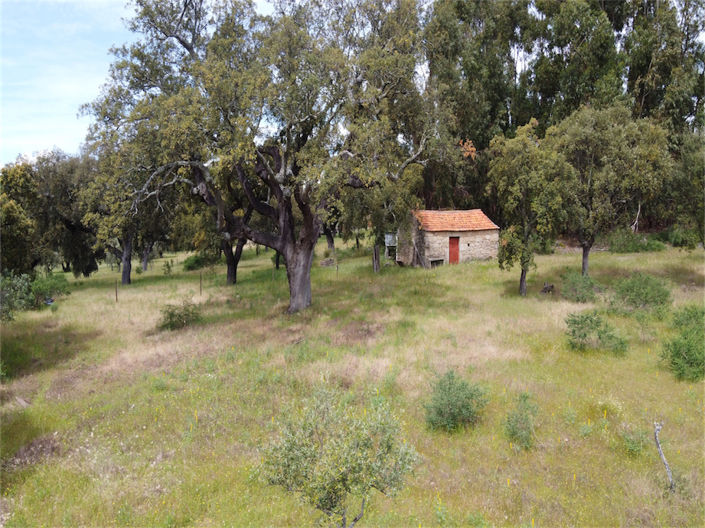 Image No.2-Property for sale