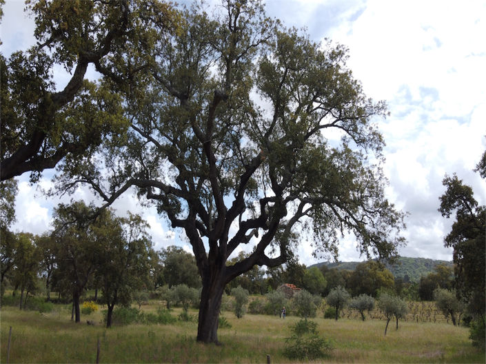 Image No.22-Property for sale