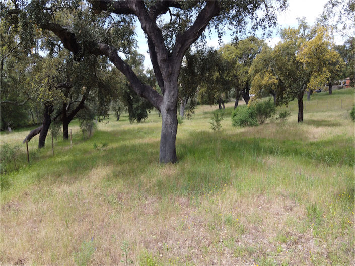 Image No.25-Property for sale