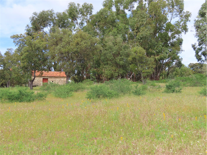 Image No.6-Property for sale