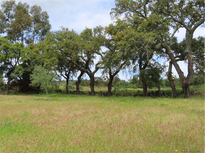 Image No.8-Property for sale