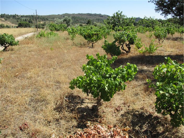 Image No.10-Property for sale