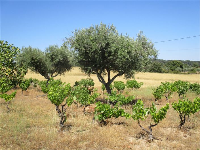 Image No.13-Property for sale