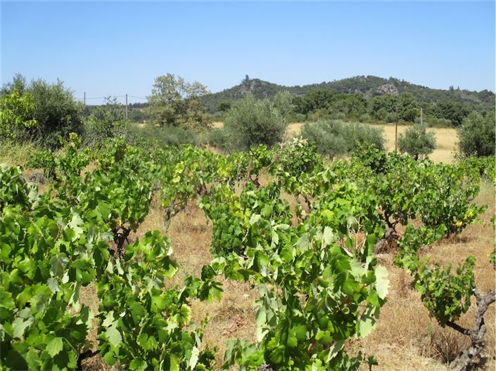 Image No.14-Property for sale