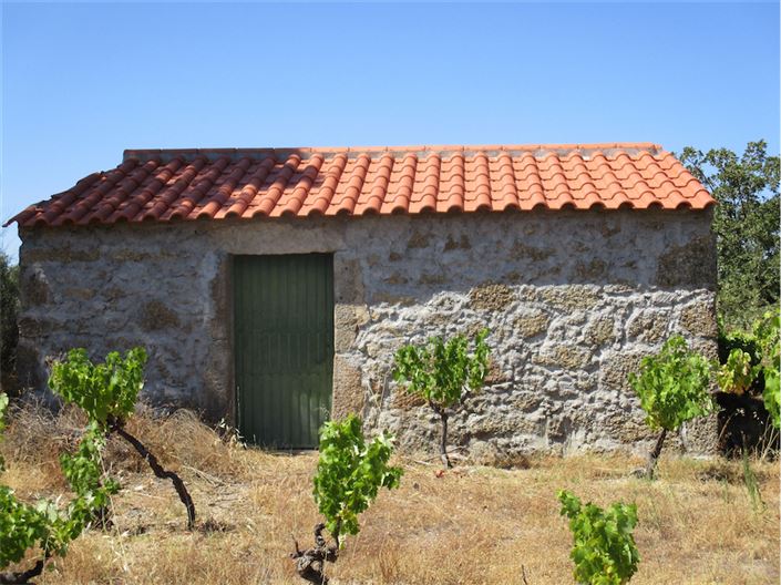 Image No.4-Property for sale