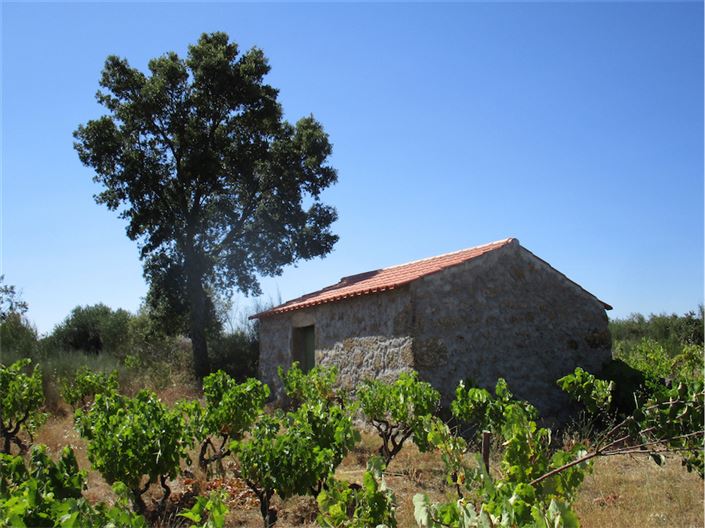 Image No.8-Property for sale