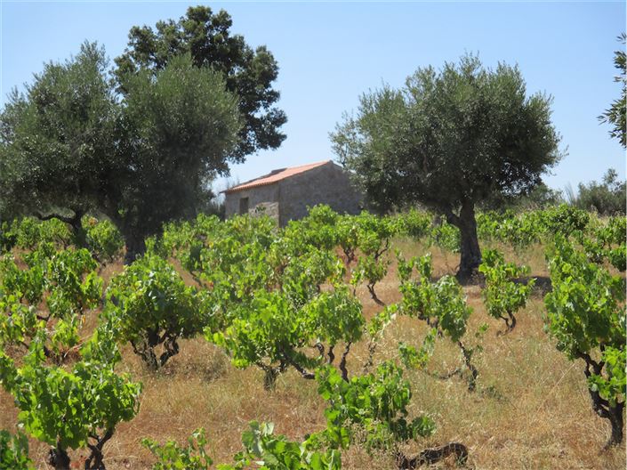 Image No.9-Property for sale