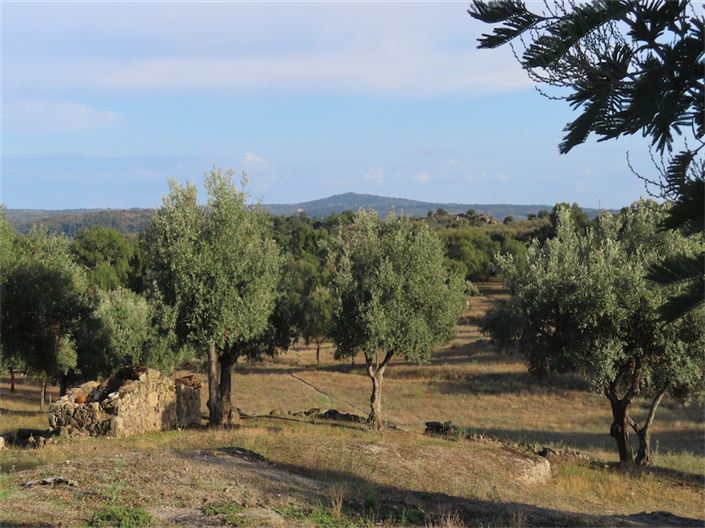 Image No.22-Property for sale