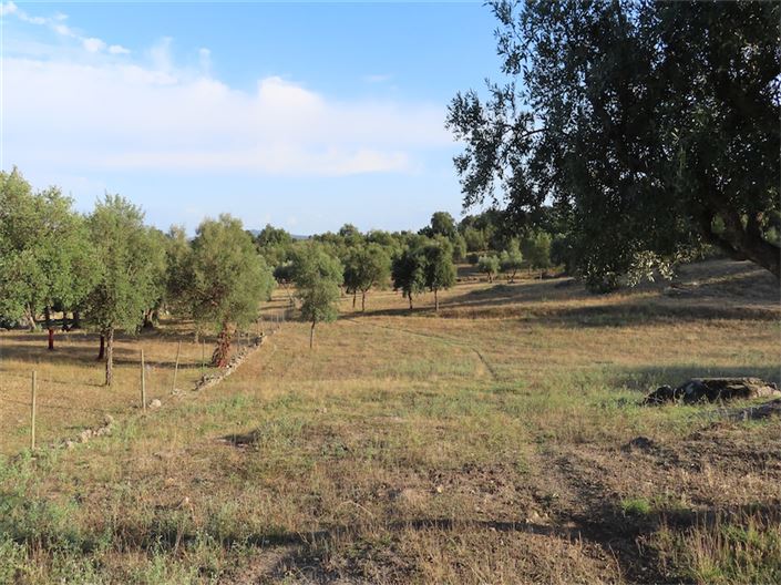 Image No.27-Property for sale