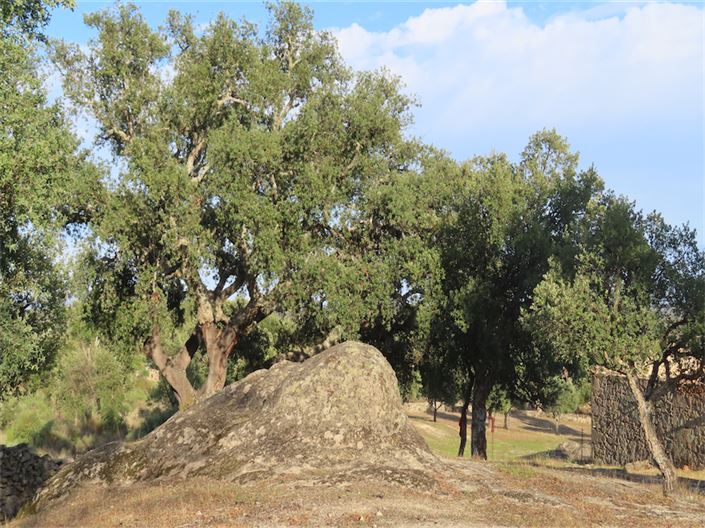 Image No.30-Property for sale