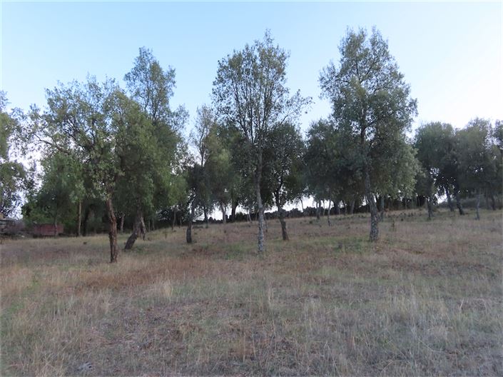 Image No.8-Property for sale