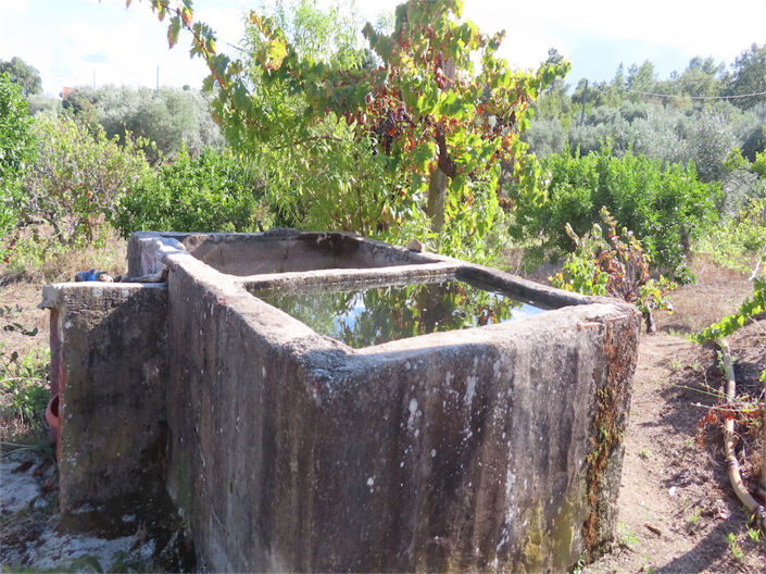 Image No.4-Property for sale