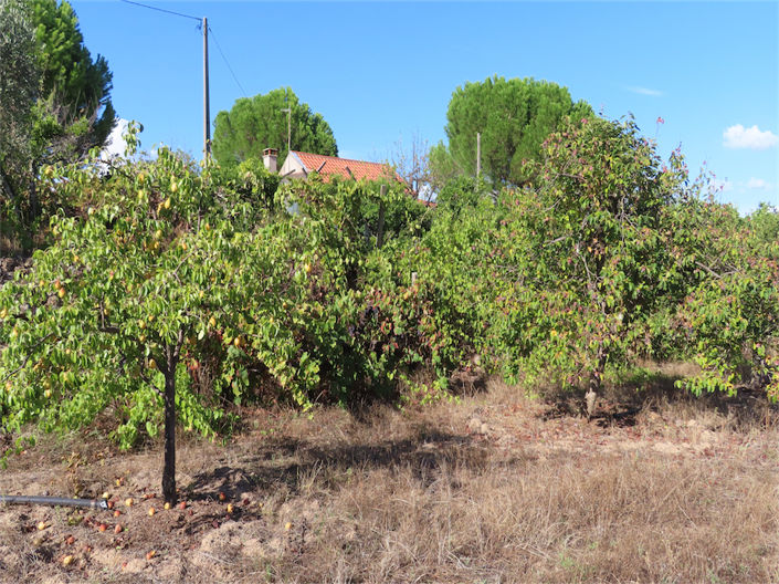 Image No.40-Property for sale