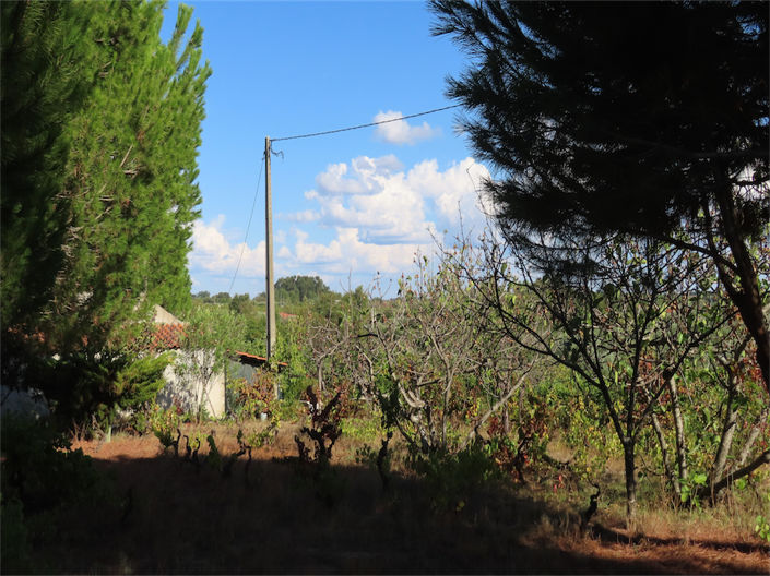 Image No.45-Property for sale