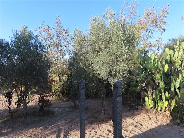 Image No.19-Property for sale