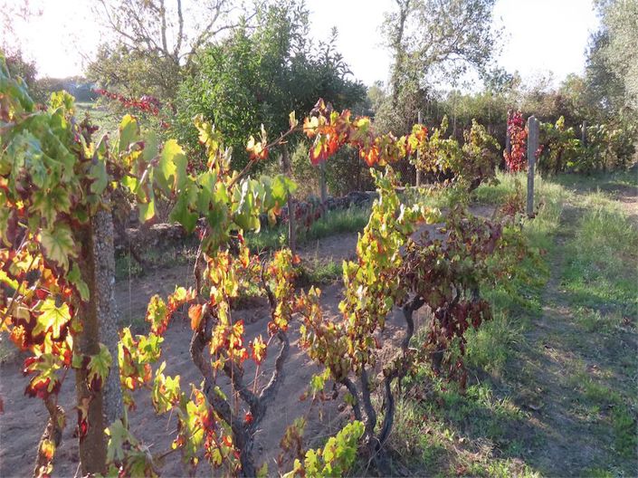 Image No.21-Property for sale