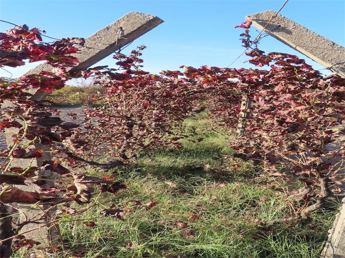 Image No.24-Property for sale