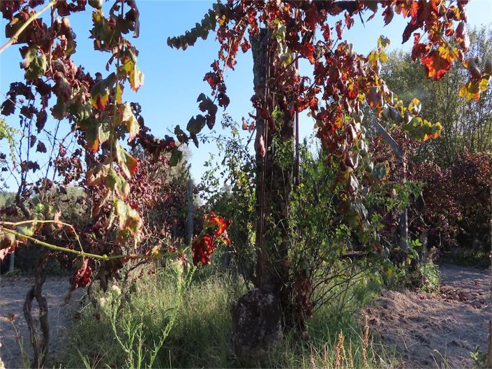 Image No.31-Property for sale