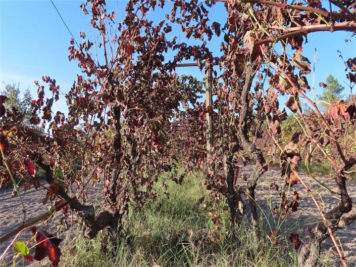 Image No.32-Property for sale