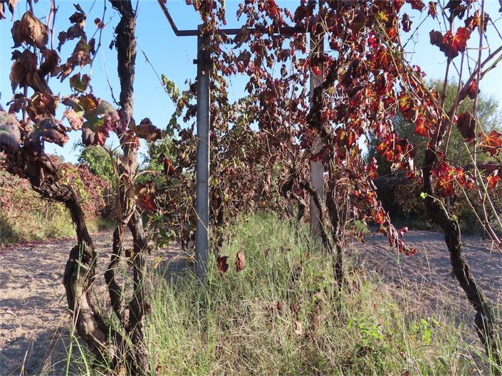 Image No.33-Property for sale