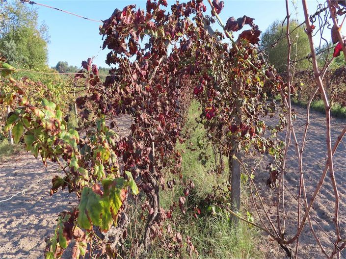 Image No.34-Property for sale