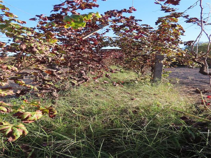 Image No.35-Property for sale