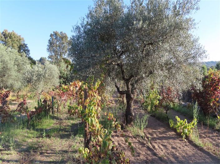 Image No.36-Property for sale