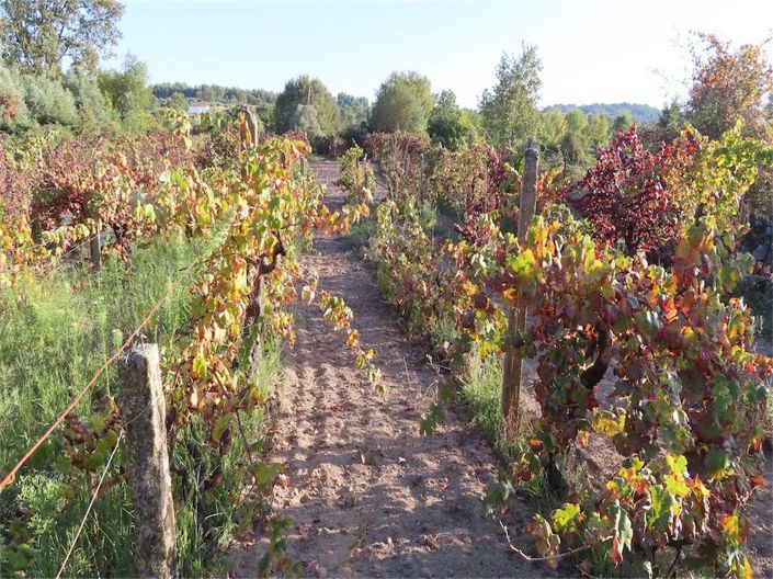 Image No.38-Property for sale