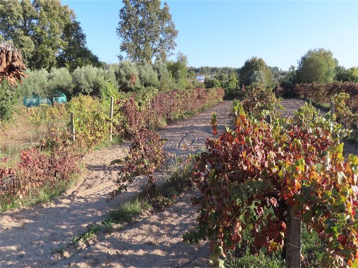 Image No.39-Property for sale