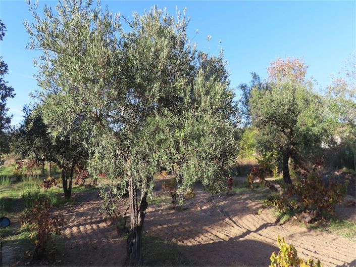 Image No.8-Property for sale