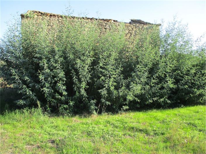 Image No.12-Property for sale