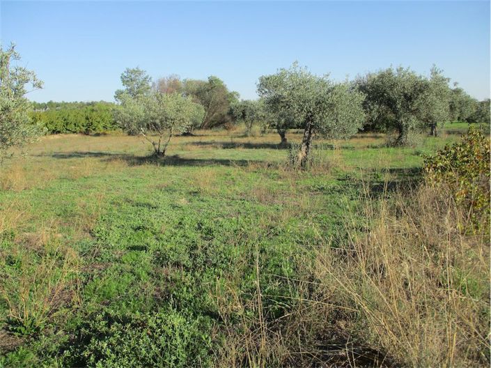 Image No.6-Property for sale