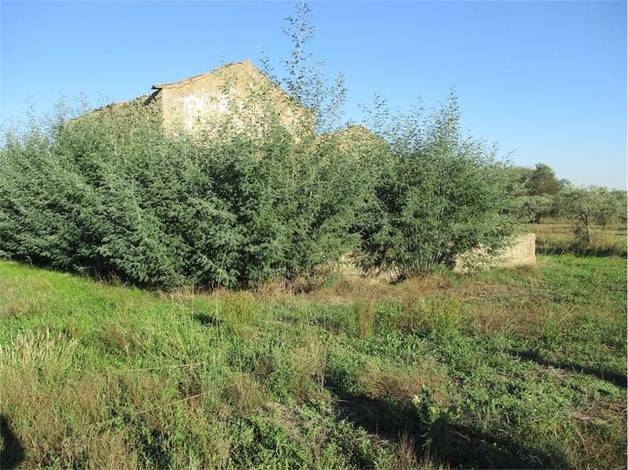 Image No.8-Property for sale