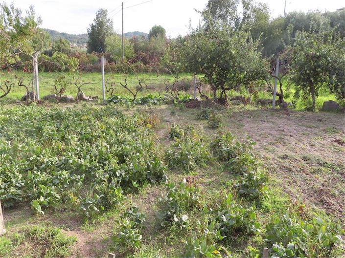 Image No.11-Property for sale